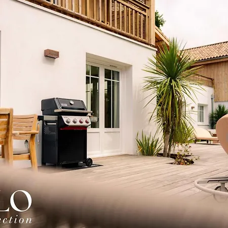 Du Chevalier Gambette By Hilo Collection * Andernos-les-Bains